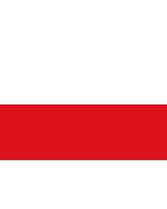 Fahne: Flagge: Tirol