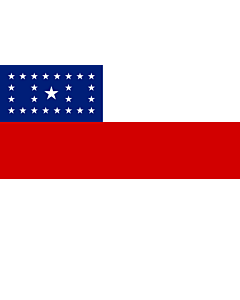 Fahne: Flagge: Amazonas