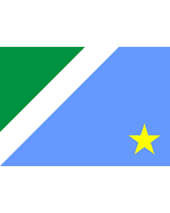 Fahne: Flagge: Mato Grosso do Sul
