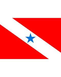 Fahne: Flagge: Pará