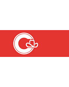 Fahne: Flagge: Calgary, Alberta