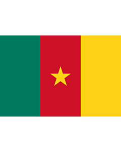 Fahne: Flagge: Kamerun