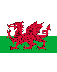 Fahne: Flagge: Wales