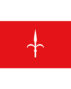 Fahne: Flagge: Provinz Trieste