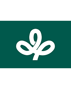 Fahne: Flagge: Präfektur Miyagi,