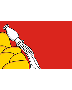 Fahne: Flagge: Oblast Woronesch