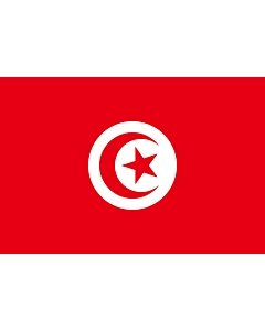Fahne: Flagge: Tunesien